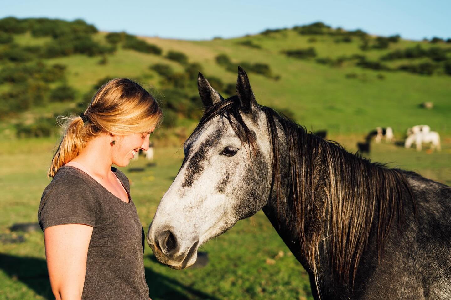 Capturing moments with our horses here at The Woolshala.
⠀⠀⠀⠀⠀⠀⠀⠀⠀
We are fortunate to be home to over 40 horses, each with its own story and personality. 

📷: @kaibernstein 
⠀⠀⠀⠀⠀⠀⠀⠀⠀
#nzvenue #retreatvenue #venuehire #yogarereat #corporateretreat 