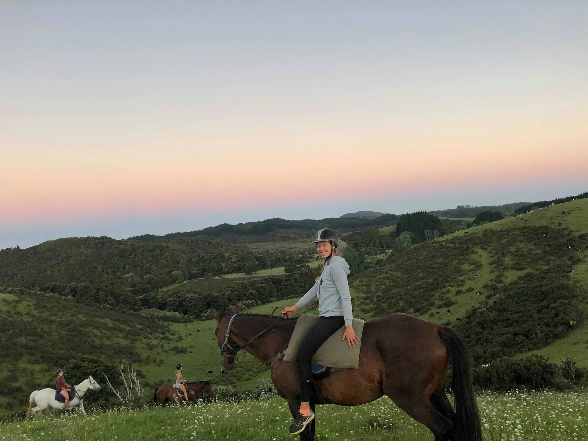 horse.jpg
