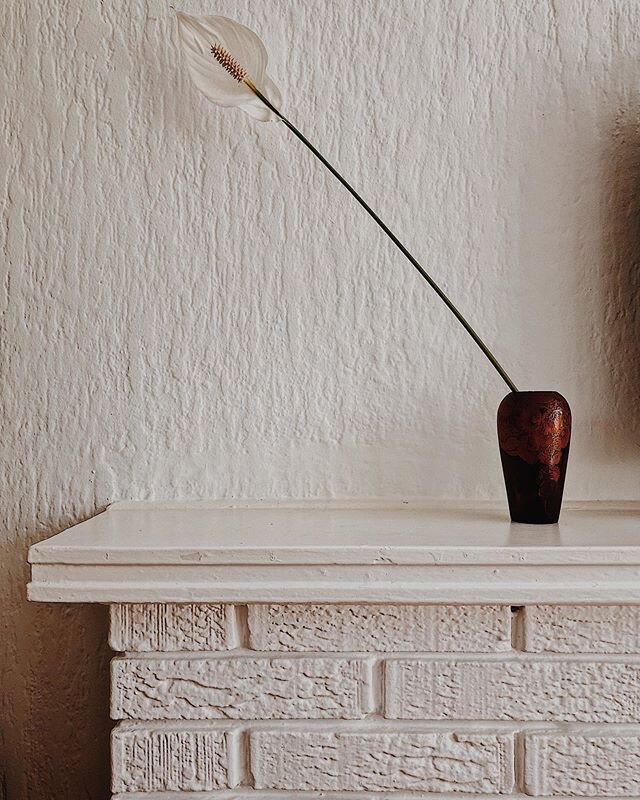 calming peace lily | practicing zen at this moment .
.
.
#interiordesign #interiordesigner #interiorstyling #interior123 #interiorinspiration #australiandesign #australianmade #australianartist #australiandesigner #sydneyhomes #sydneydesign #sydneyde