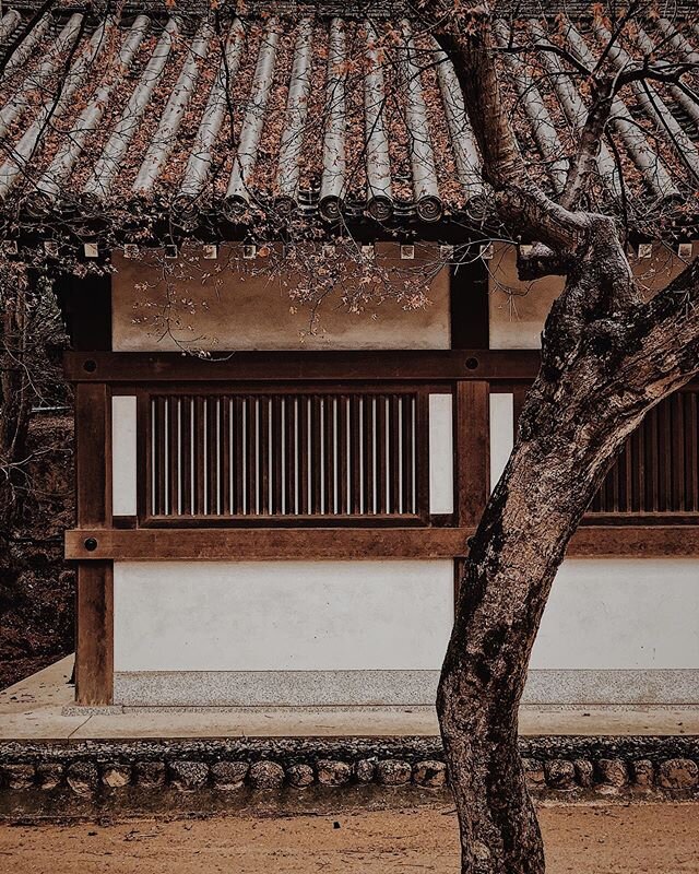 from japan trip winter &lsquo;18 | reflect | influence | practice .
.
.
#architecture #inpraiseofshadows #wabisabi #architecturephotography #architecturelovers #archdaily #archidaily #archilover #archilovers #architecture_hunter #postitfortheaestheti