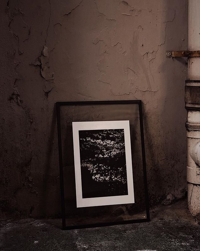 &bull; artist proof of the gardens of leura 001 print coming soon to the shop &bull;