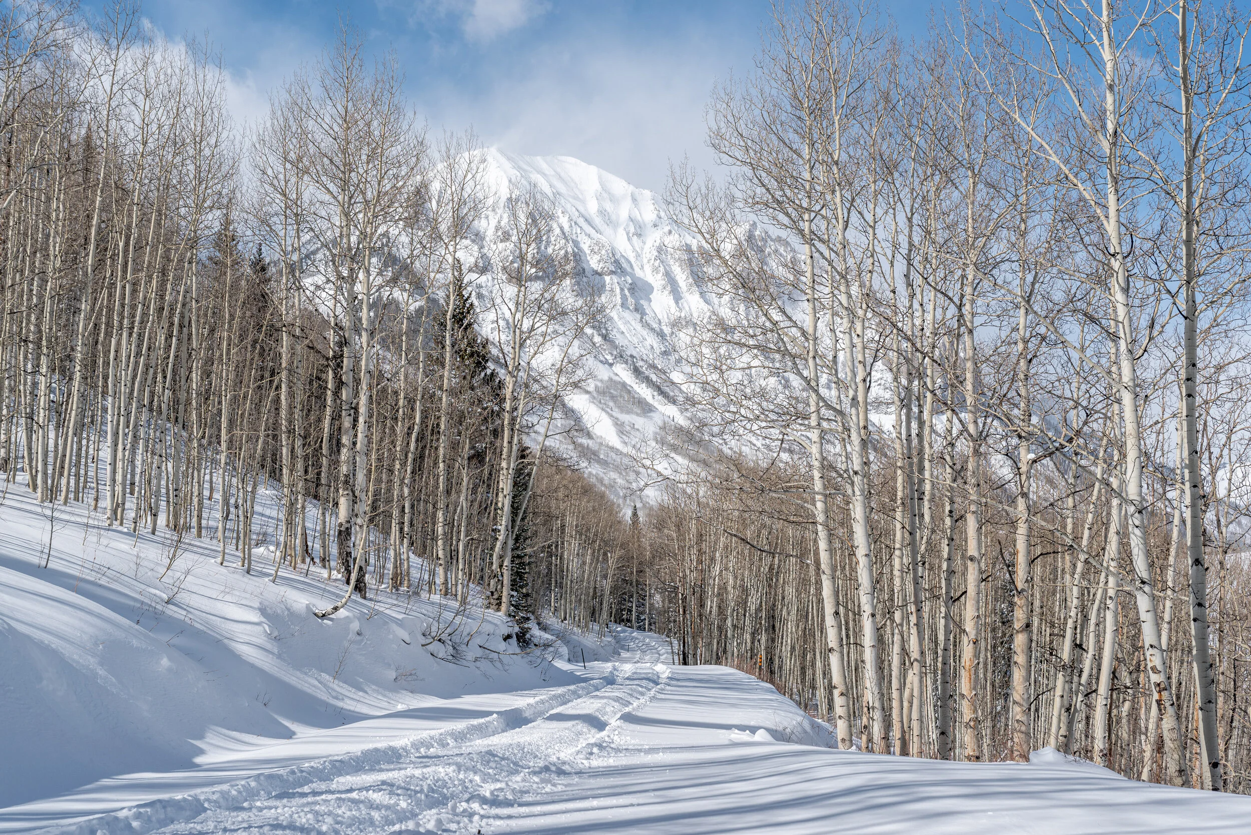 Gothic - 2020 MetalPrint