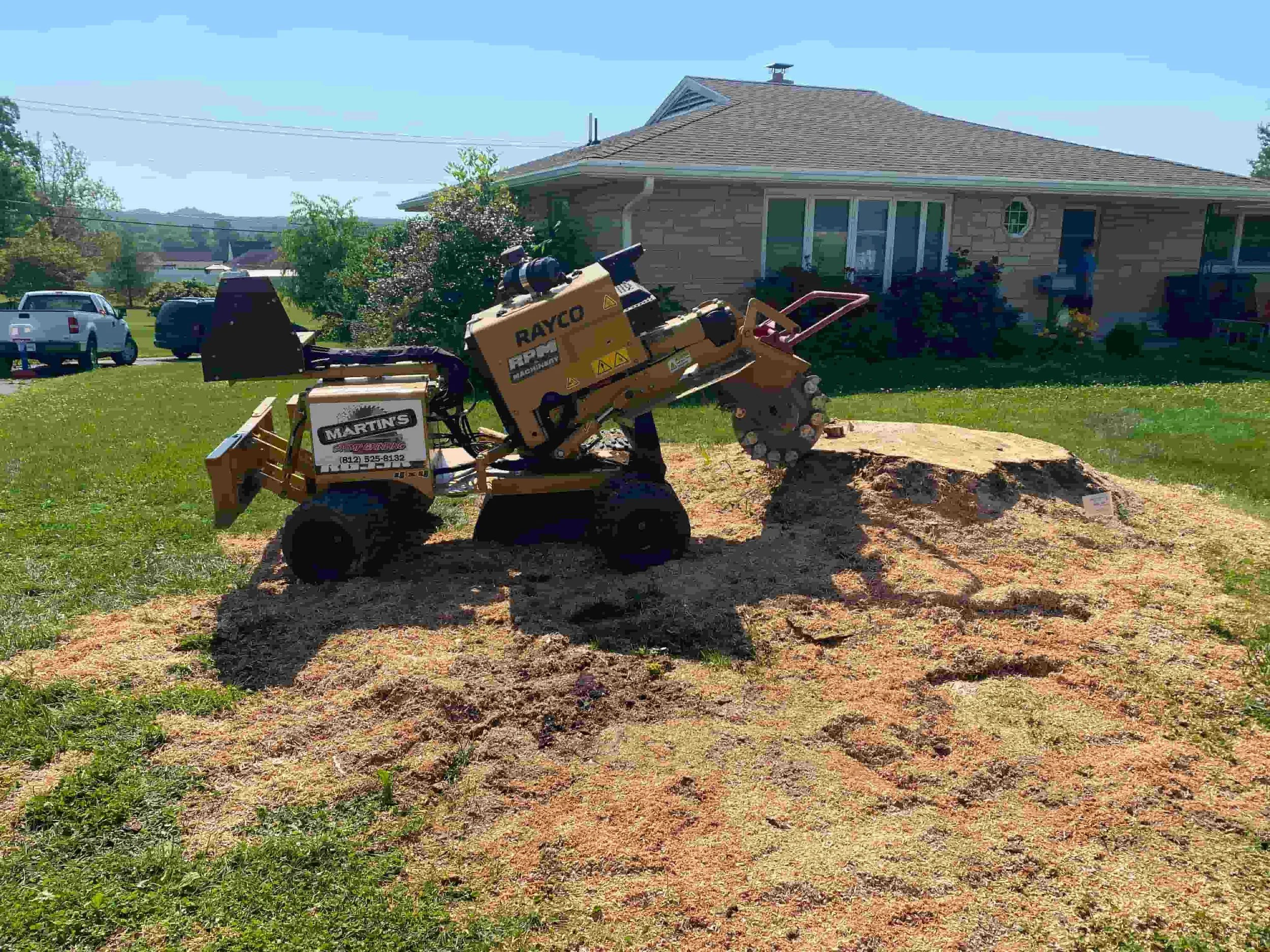 Stump grinding service in Orange County Indiana removing tree stump