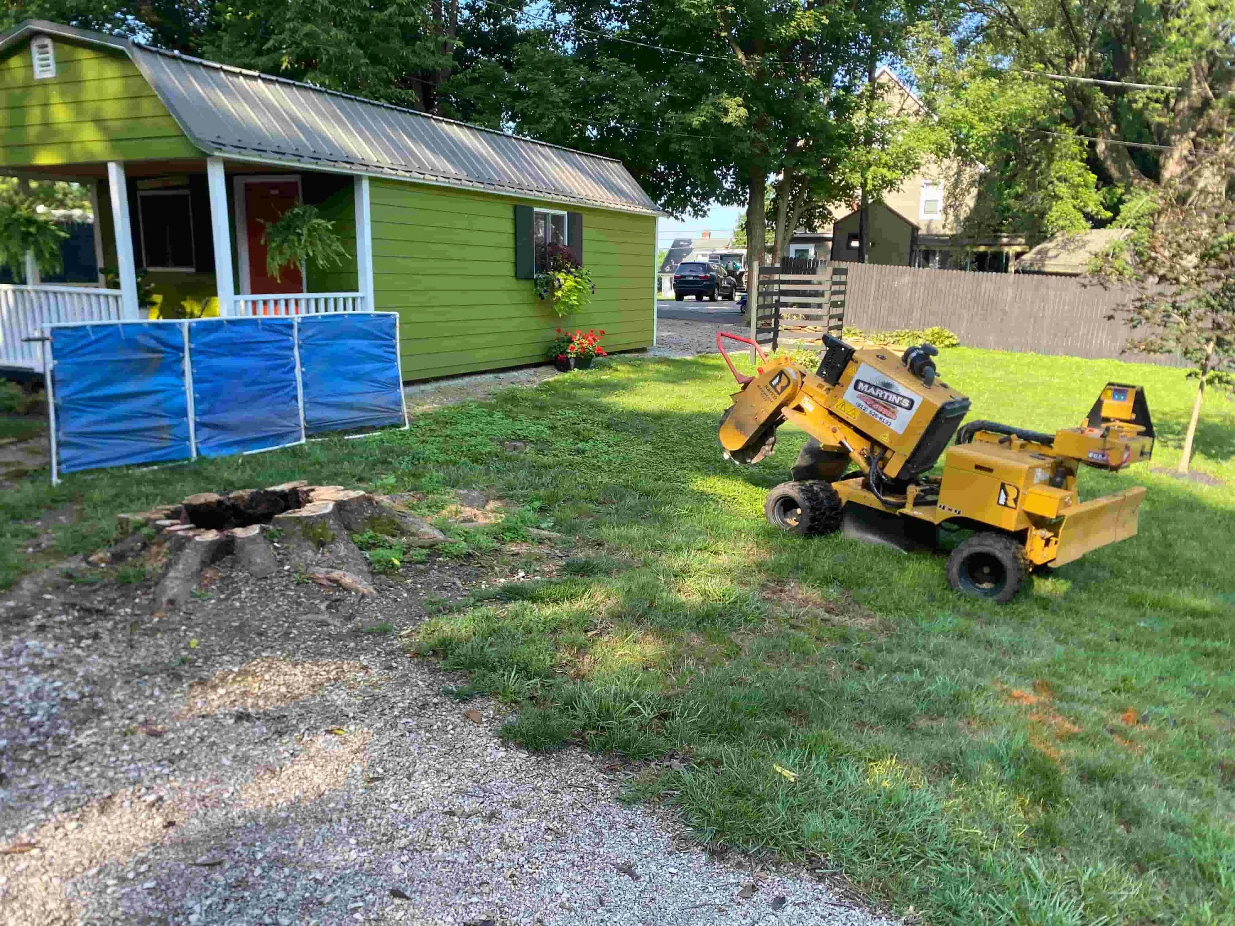 Tree stump before grinding in Orange County Indiana