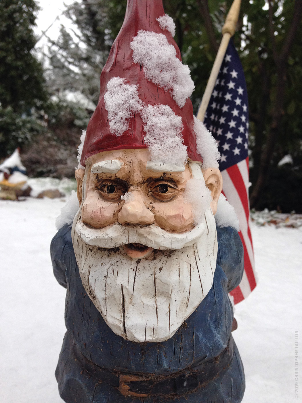 Frozen, Patriotic Gnome