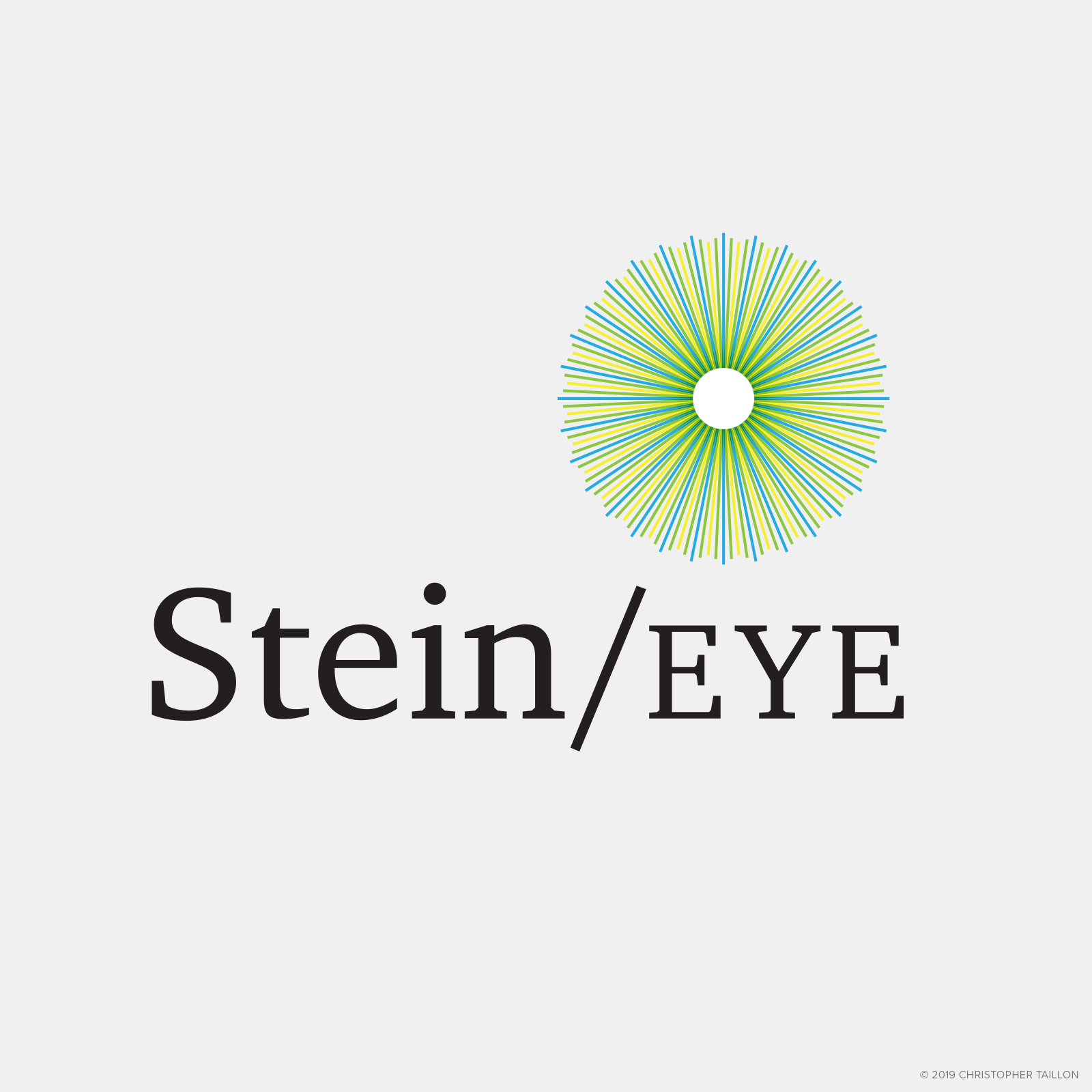 Stein Eye