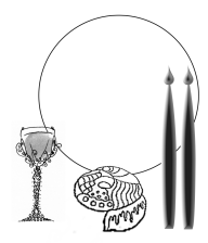 CMI’s Rosh Chodesh 