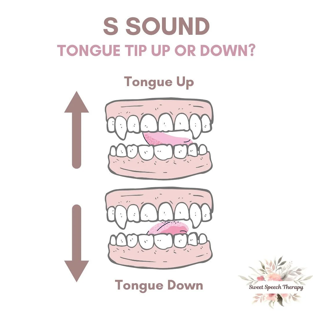 🧐 Did you know that the “s” sound can be produced in 2 different ways? While some people naturally place the tip of their tongue UP near the alveolar ridge (gums near the upper front teeth), others place their tongue tip DOWN on their lo