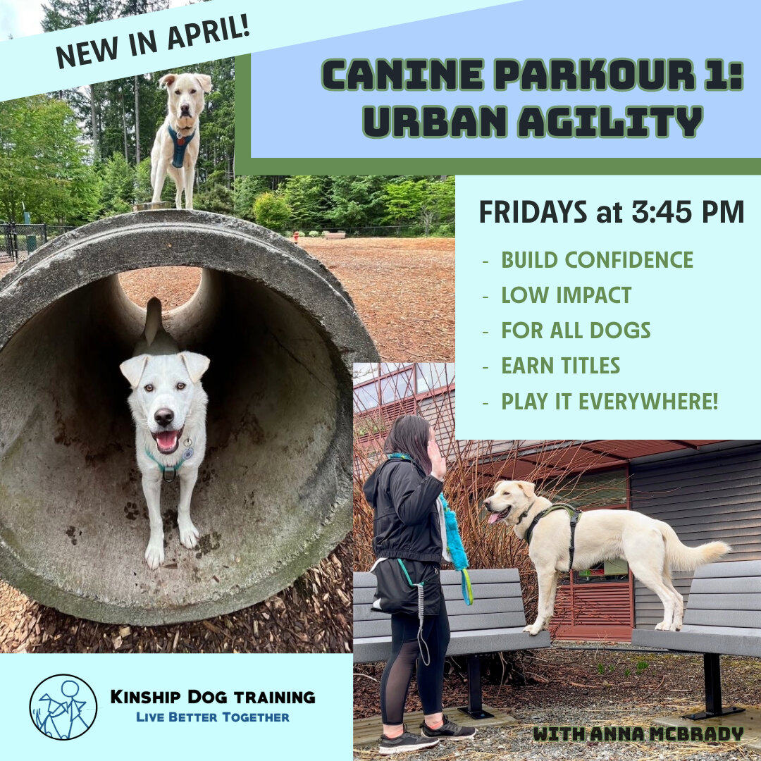 www.kinshipdogs.com

Mark your calendars for APRIL! We are debuting a fun new class...

Canine Parkour 1: Urban Agility!

(FRIDAYS AT 3:45PM) Canine Parkour is a 4-week intro series into the world of urban agility. Build your dog&rsquo;s confidence w