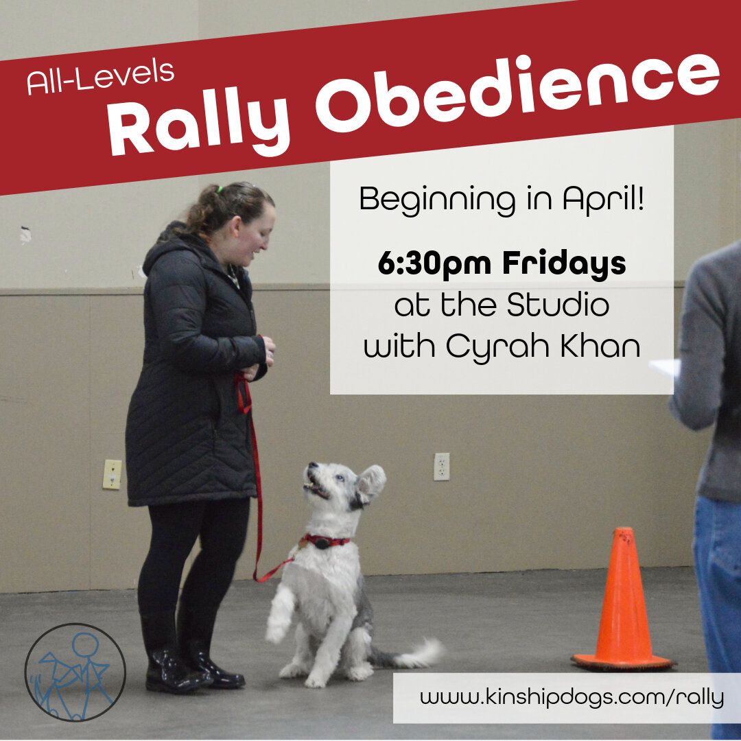 www.kinshipdogs.com

Rally Obedience at Kinship, back in April at a different time-- Fridays at 6:30pm! 

All-Levels Rally is a class designed to improve rally skills for teams of any level, from those who have never trained for rally to teams workin