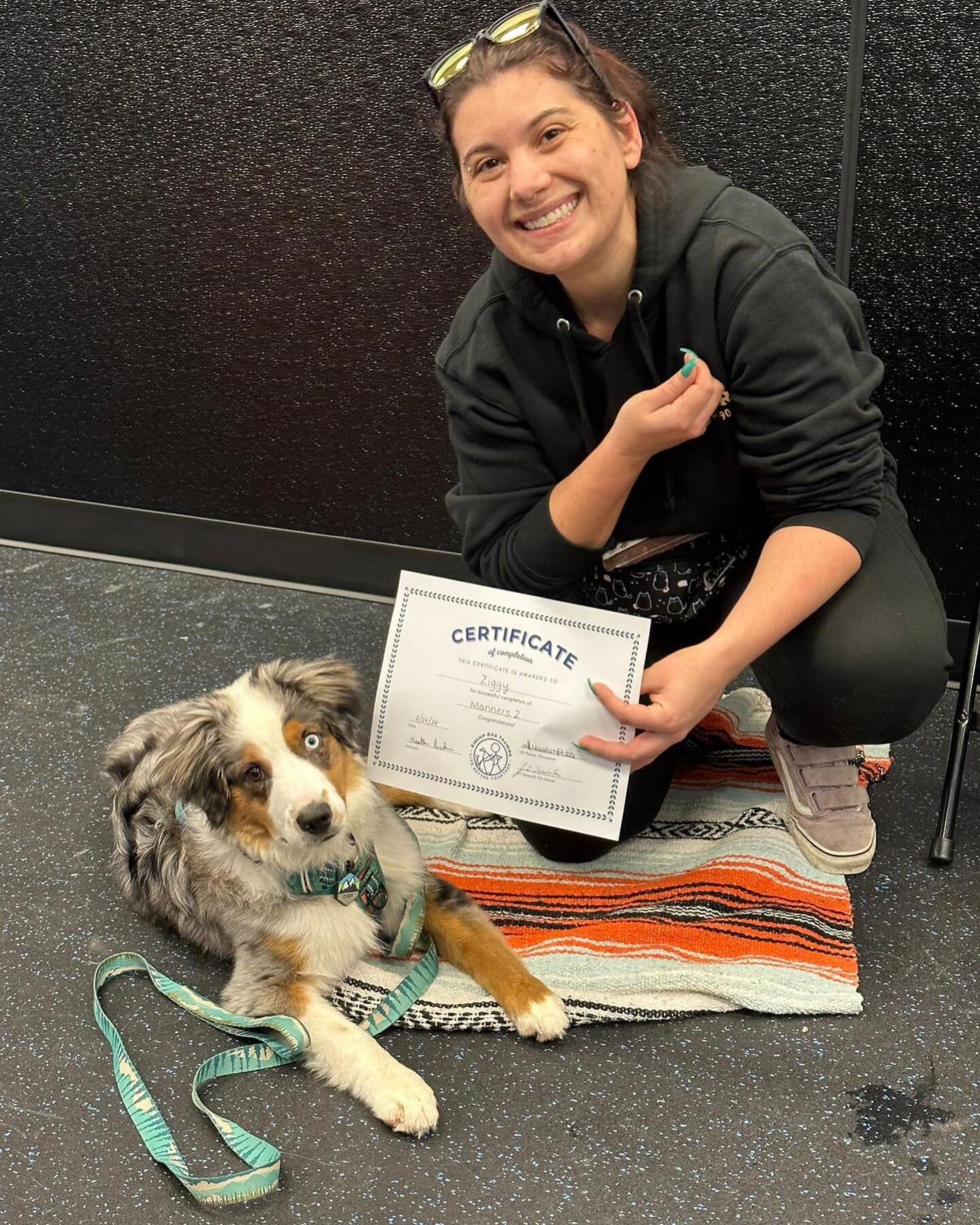 Congratulations Hammy, Mochi, Jeff, Emma, and Ziggy on your Manners Two graduation yesterday!! Well done! @kinshipdogtraining #yay #mannersmatter #northbend www.kinshipdogs.com/manners