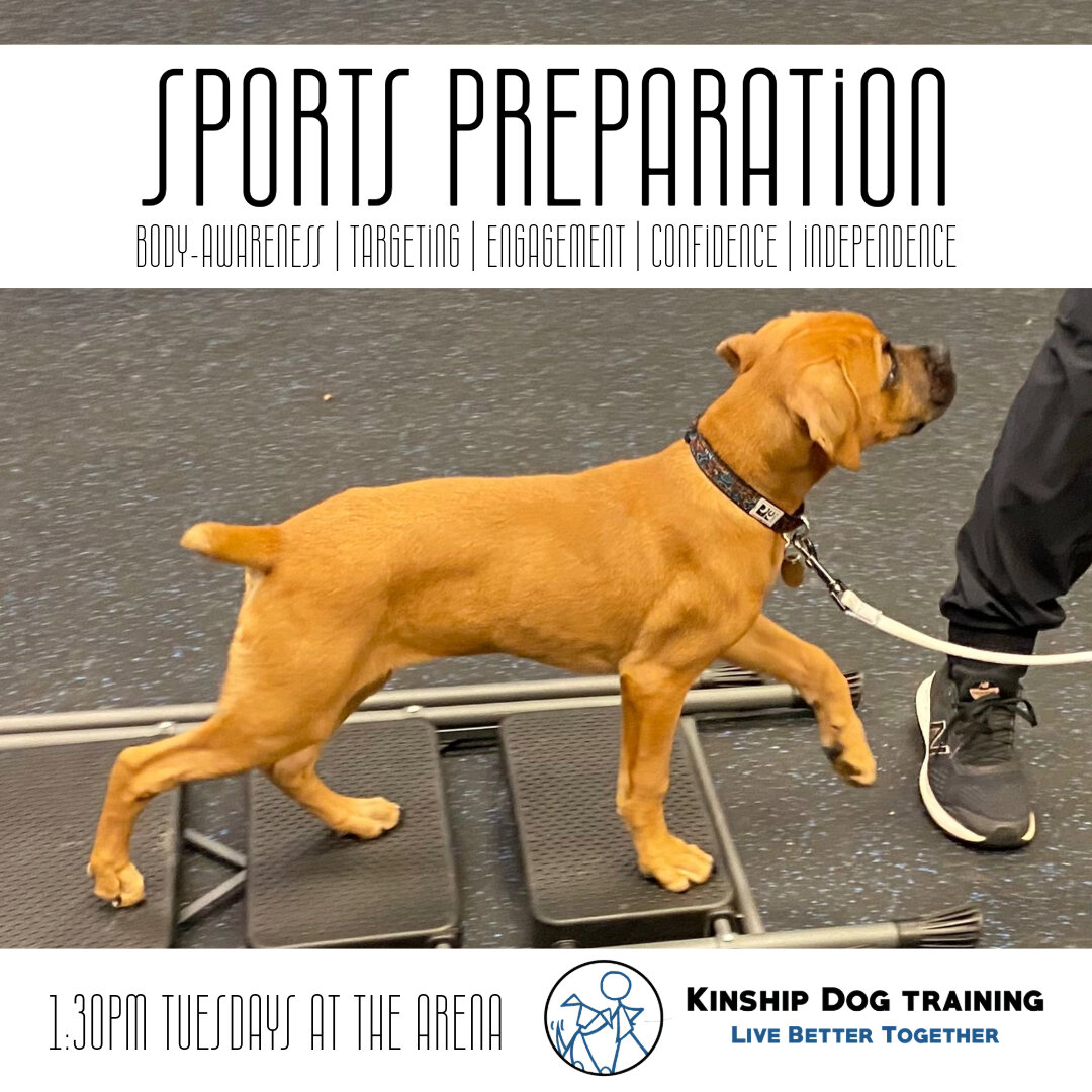 www.kinshipdogs.com

Interested in dog agility, but not sure where to begin? Try our Pre-Agility Sports Prep! Dogs and handlers interested in ANY sport will benefit from the foundational performance skills taught by Karen in this 4-week class. 

The 