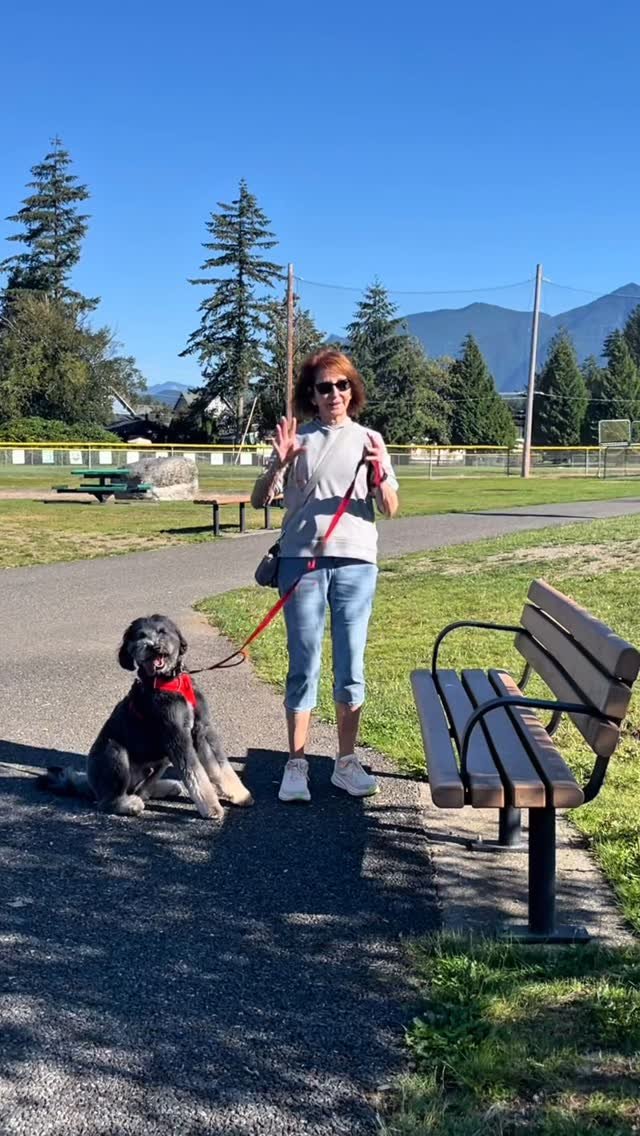 🏃‍♀️🐕 NEW Canine Parkour 2 class starts 1️⃣ week from today! Come have fun and work your way to earning a title! 🥇Link in stories.
#parkour #dogparkour #dogclasses #northbendwa