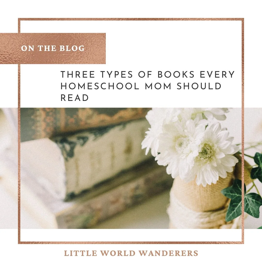 The Three Types of Books Every Homeschool Mom Should Read