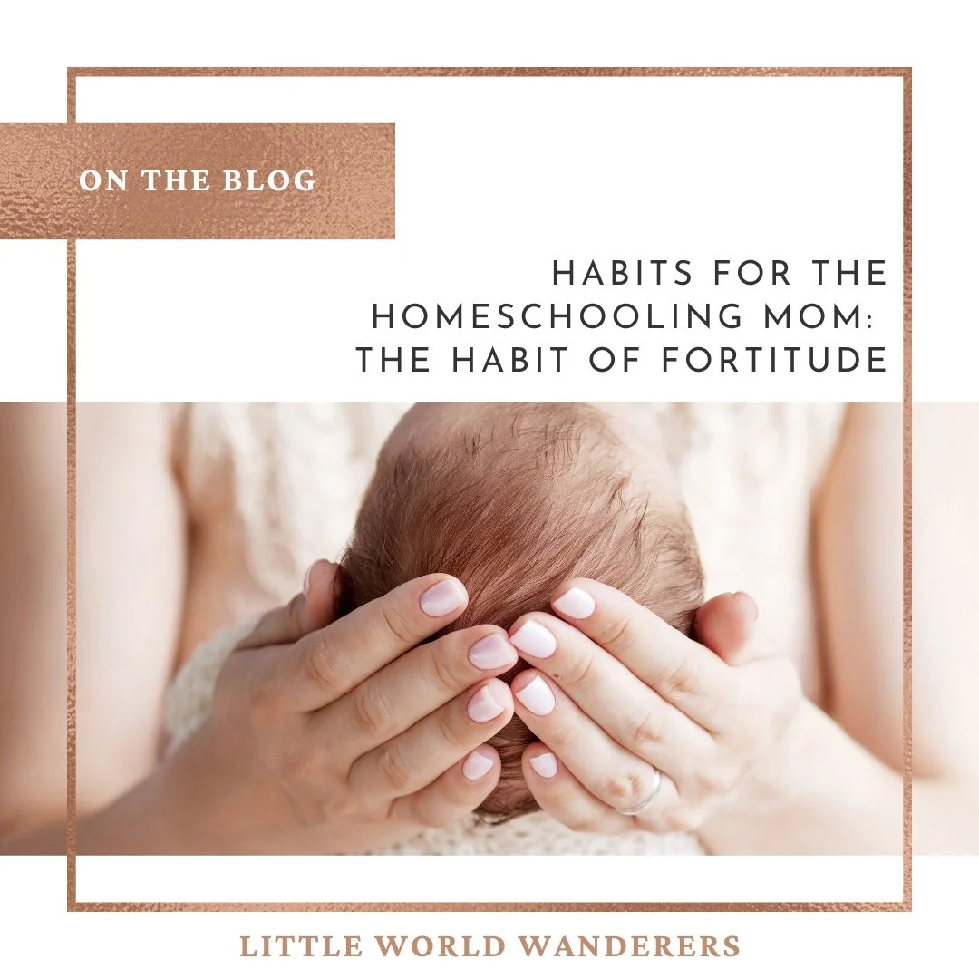 Habits for the Homeschool Mom: The Habit of Fortitude