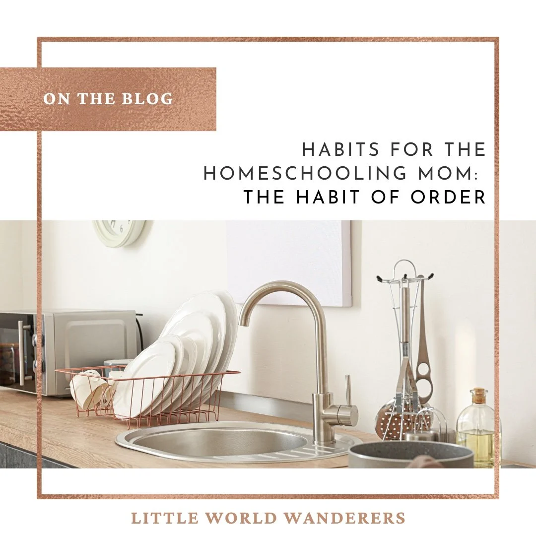 Habits for the Homeschool Mom: The Habit of Order