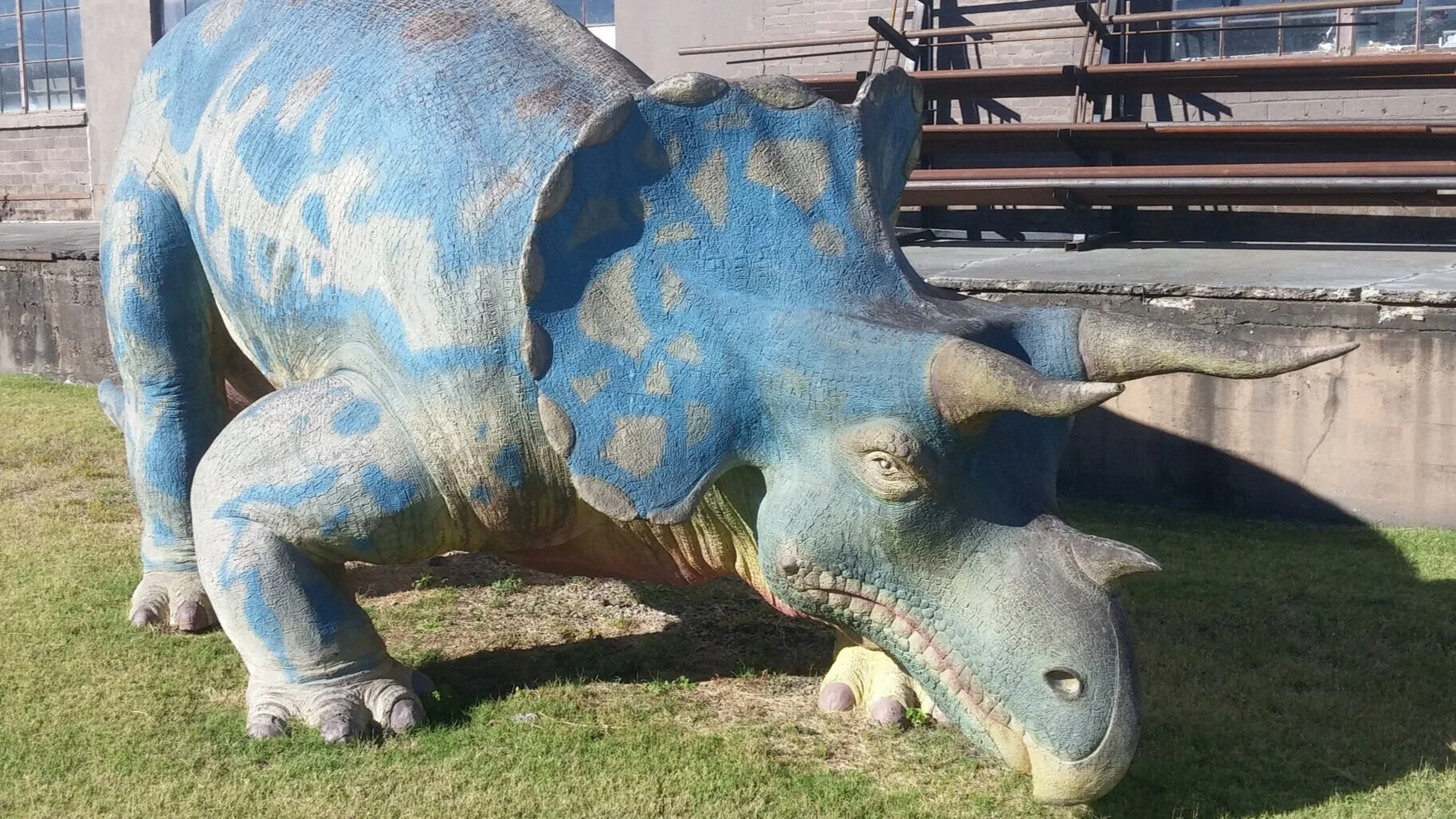 Louisville Unearthed: Long live Lottie the Triceratops