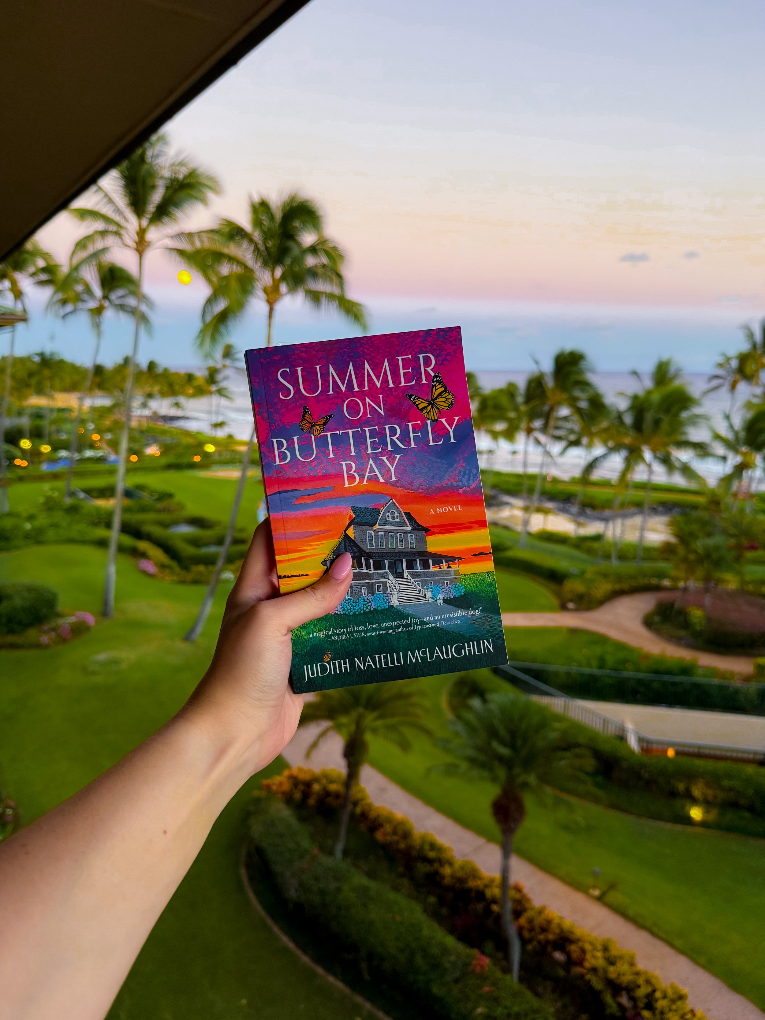 Mini Book Review: Summer on Butterfly Bay by Judith Natelli McLaughlin