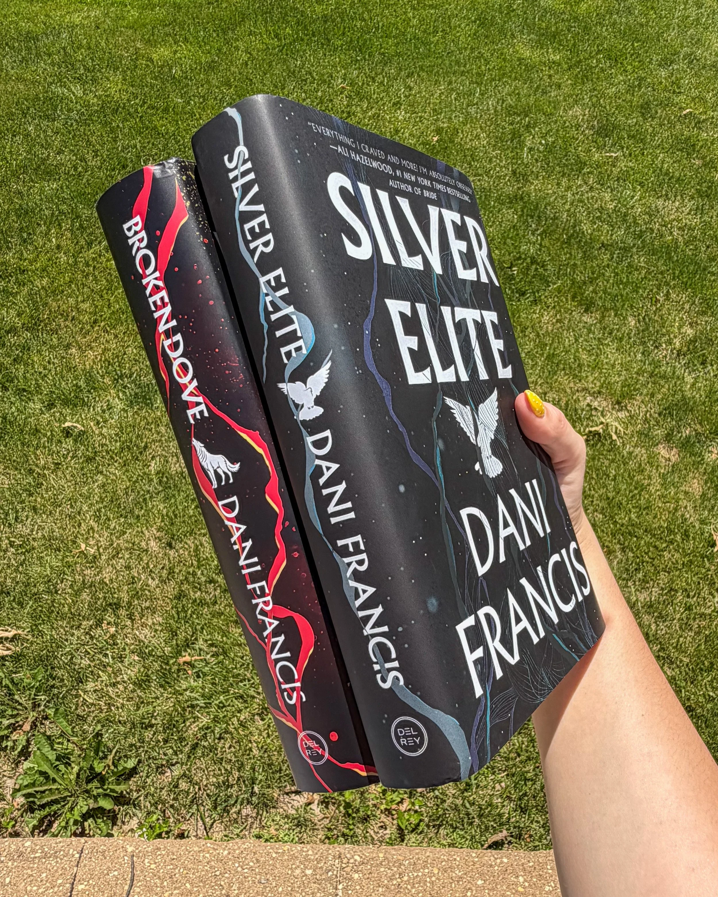 Silver Elite Review: The Best Dystopian Romance I’ve Read in Years