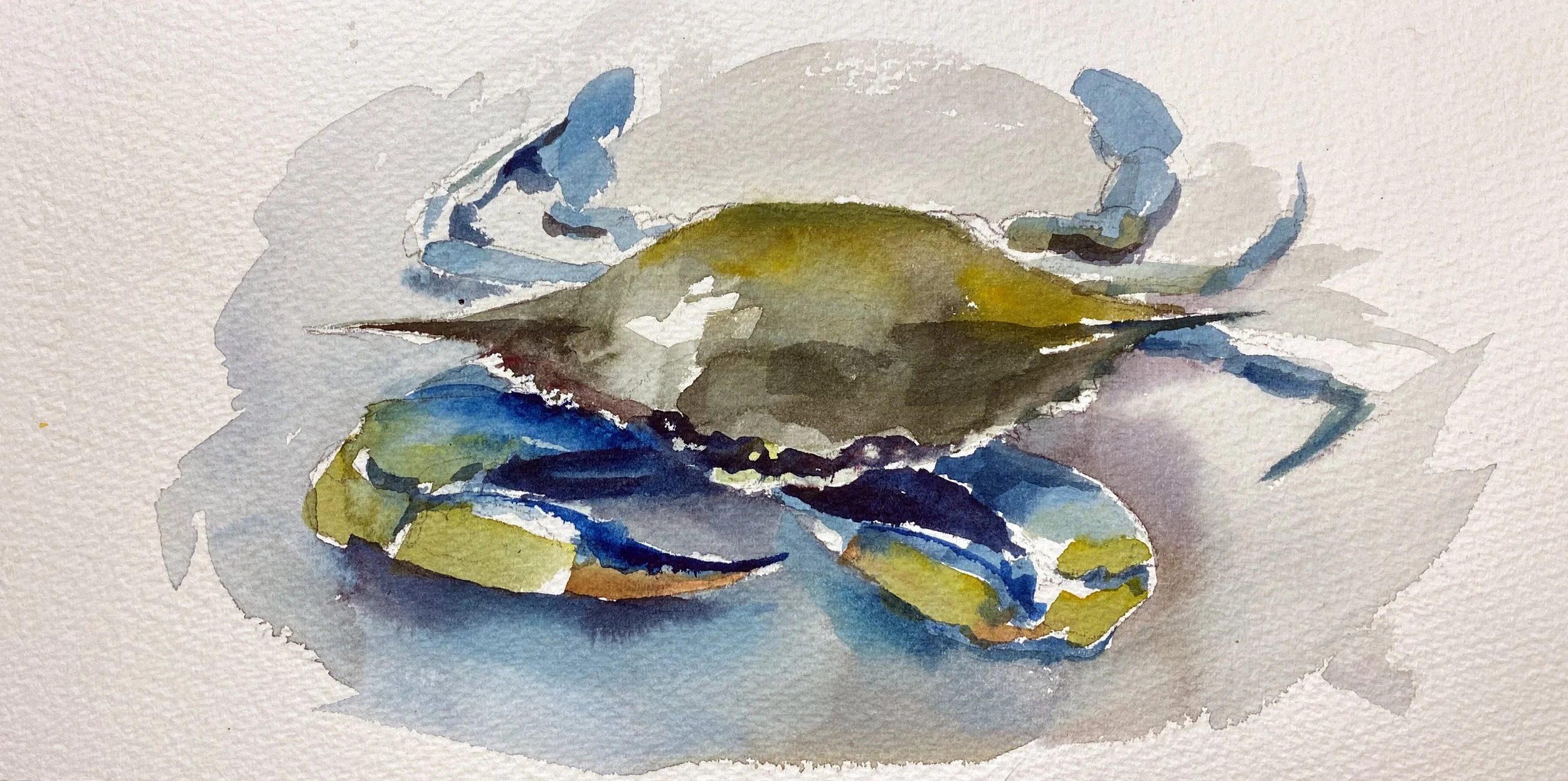 Blue Crab Study