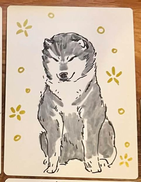 yoshimaru sitting shiba.jpg