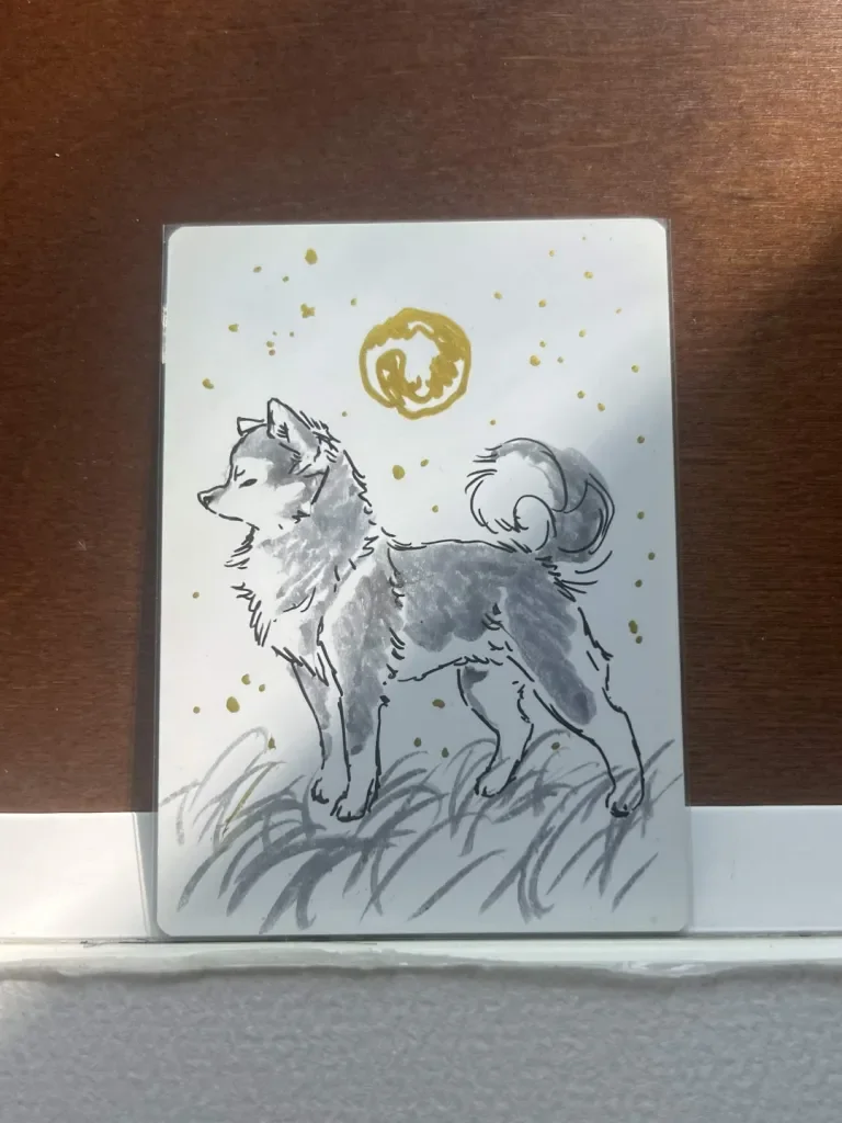 shiba four.webp