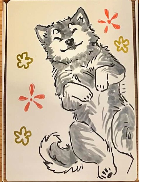 yoshimaru laying down.jpg