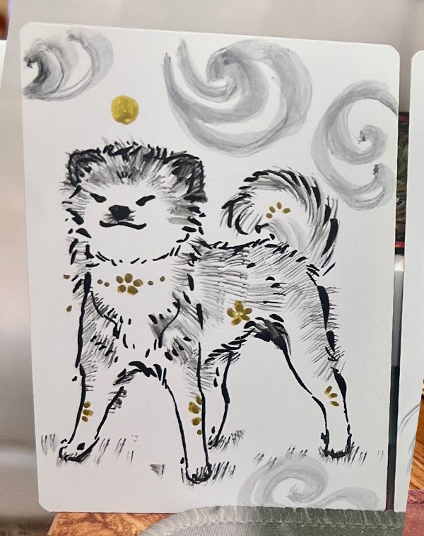 y_show akita.jpg
