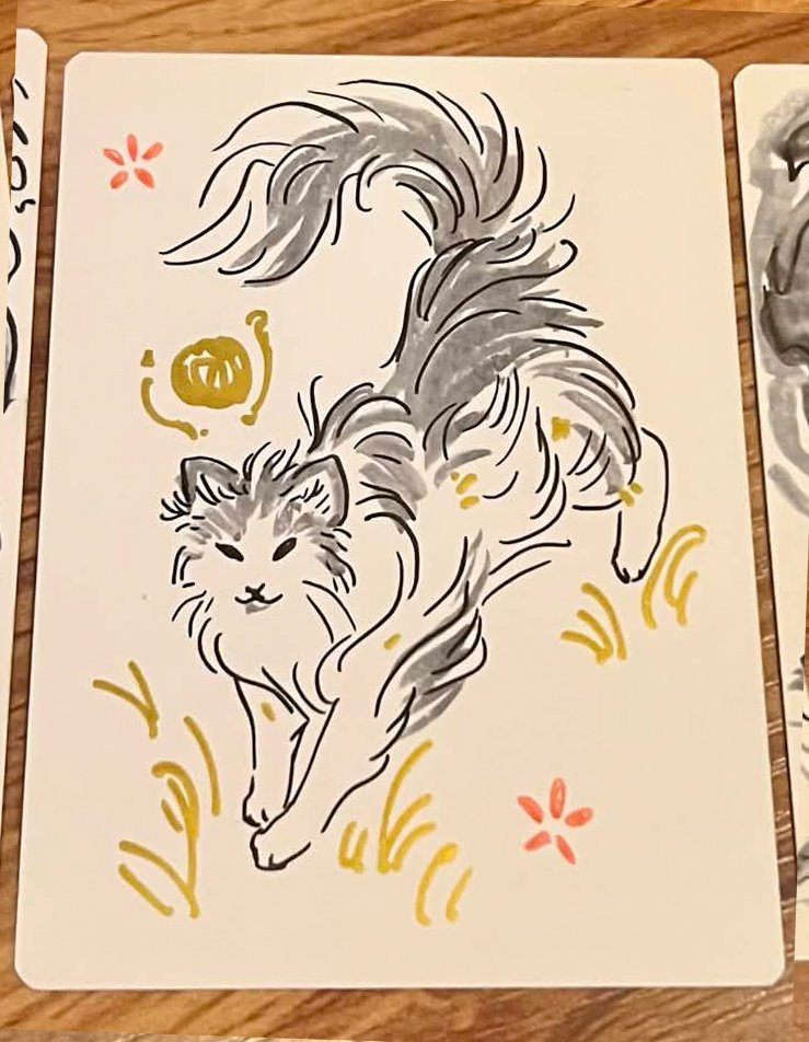 ninelives ragdoll run.jpg