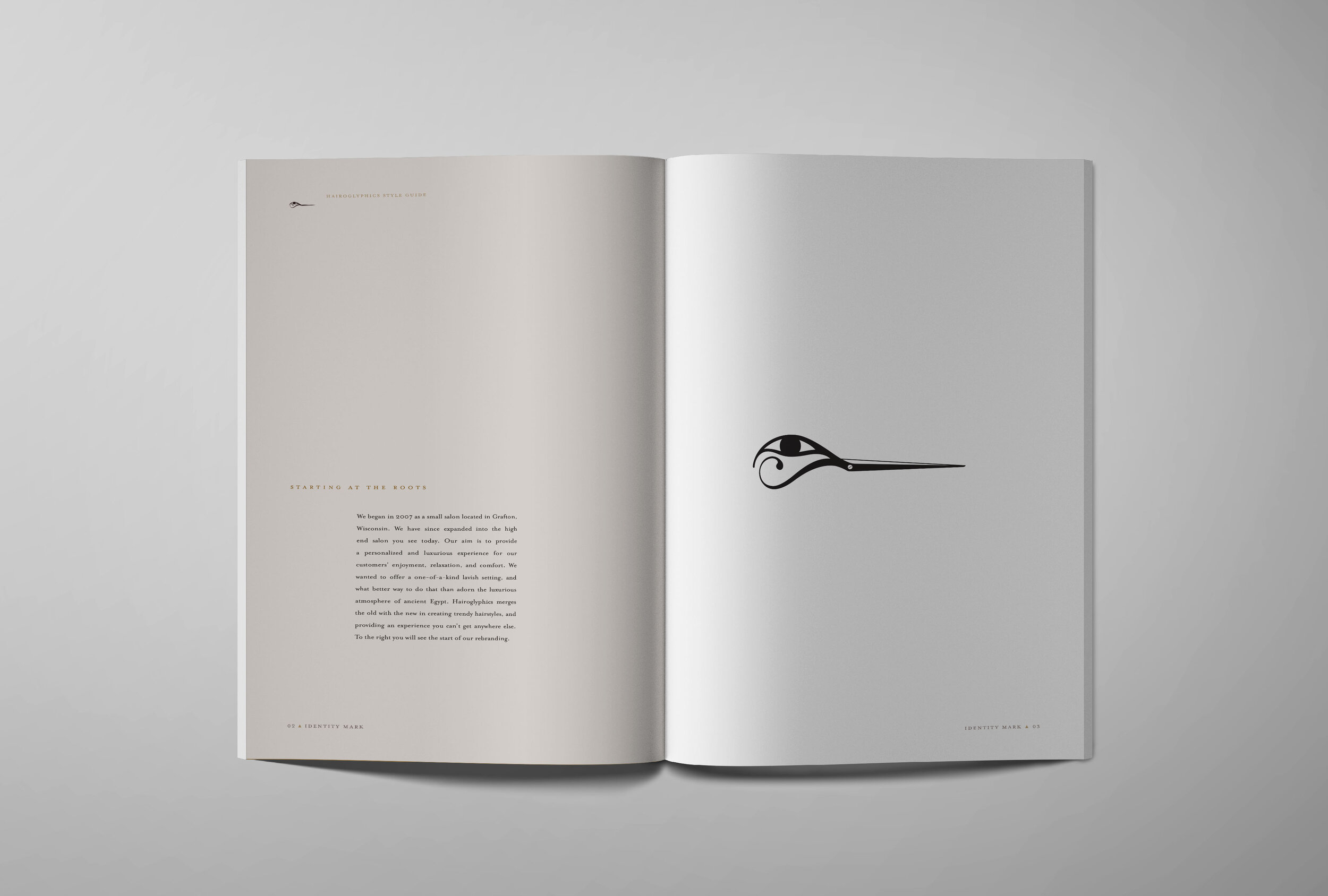 hairoglyphics-styleguide-01.jpg