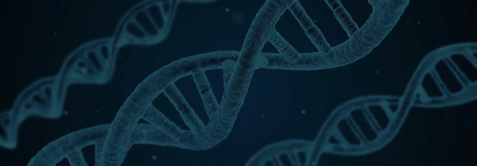 mentora timeless principles 21st century science.jpg