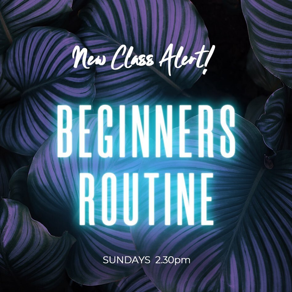⚠️ NEW BEGINNERS ROUTINE TIMESLOT ALERT: 𝙎𝙪𝙣𝙙𝙖𝙮 2.30𝙥𝙢 ⚠️

Due to the popularity of our Beginners Routine class, we had to open up a new time slot: 𝙎𝙪𝙣𝙙𝙖𝙮 2.30𝙥𝙢

But book fast and book ahead! Spots have already started to fill up 😍
