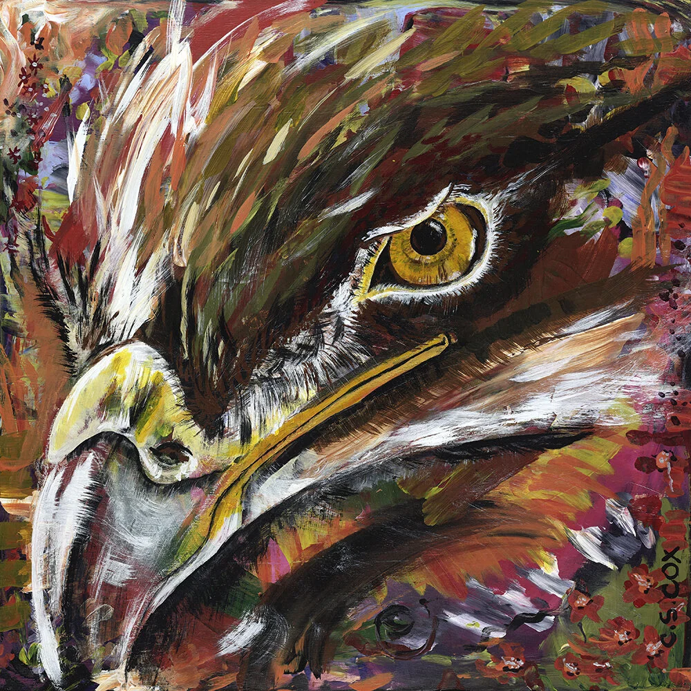 Eagle - Framed