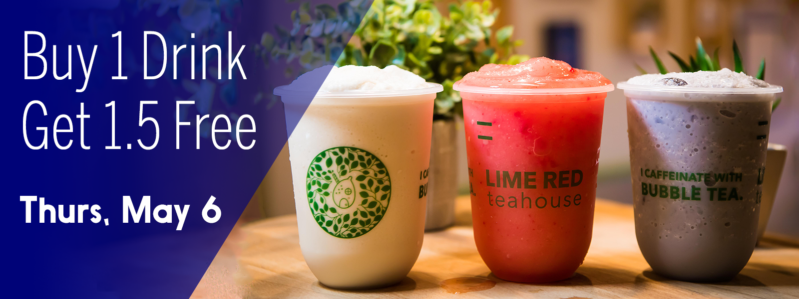 National Boba Day at LimeRed — LimeRed Teahouse