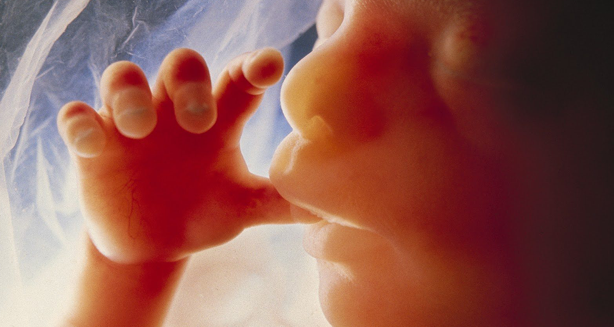 20190826_medecinDirect_octobreRose_article_006_pourrai-je-avoir-un-enfant-apres-un-cancer-du-sein.png