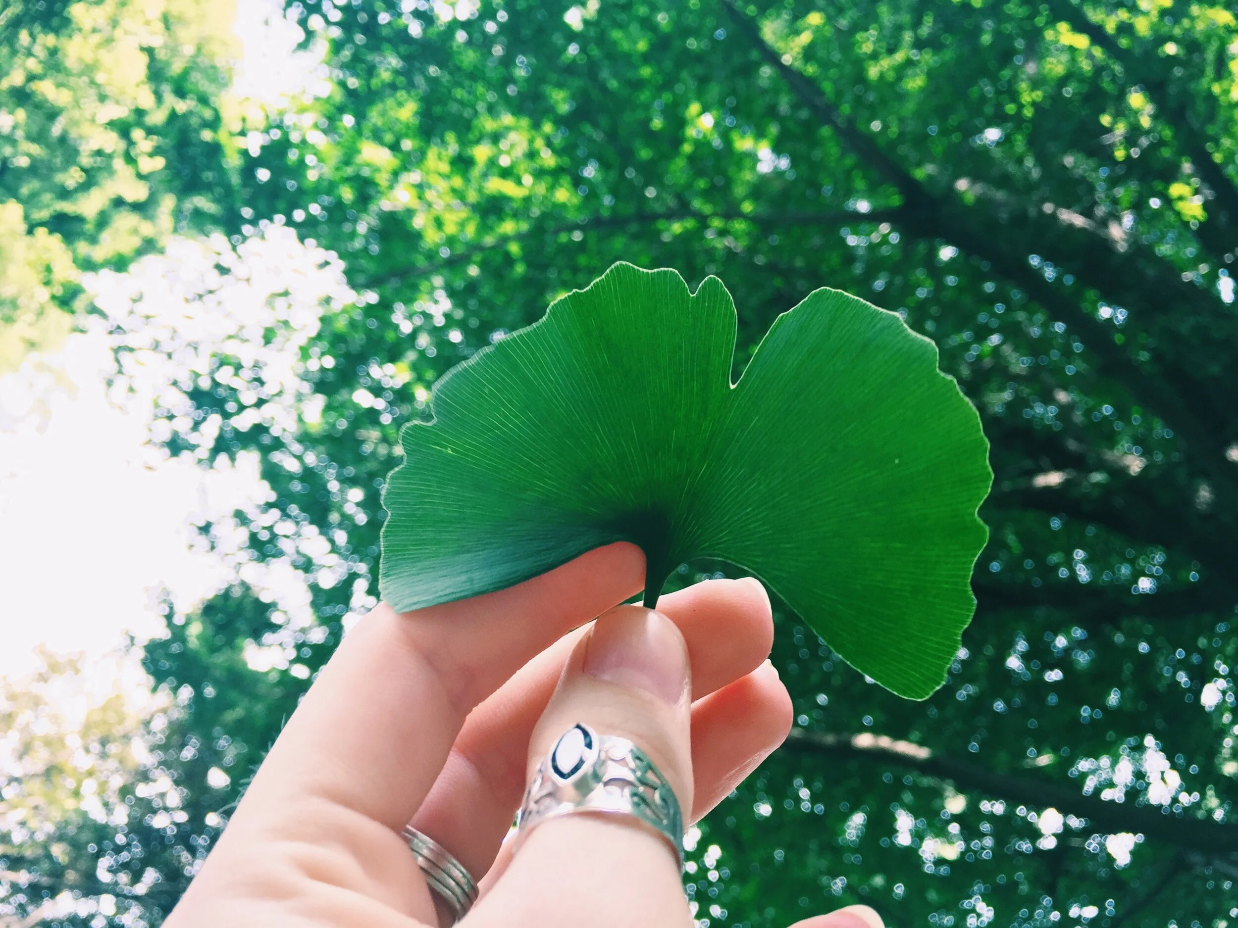 Why You Should Give Up Fake Tan