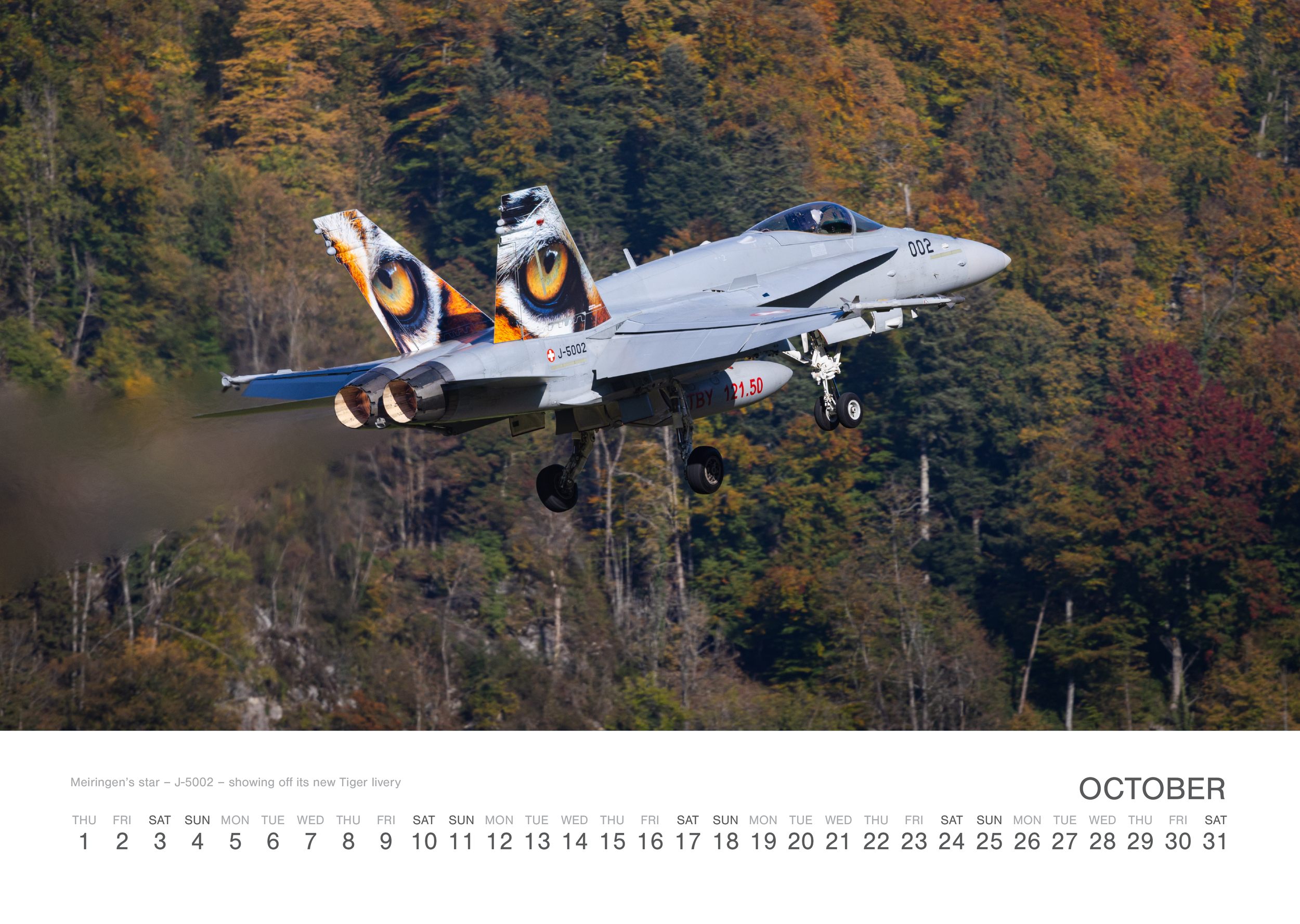 SAF_calendar_2026_311.png (Copy)