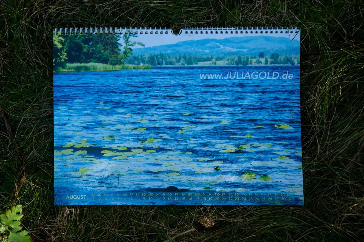 Fotokalender 2026 Seerosen Murnau Blaues Land Staffelsee Julia Gold-6702.jpg