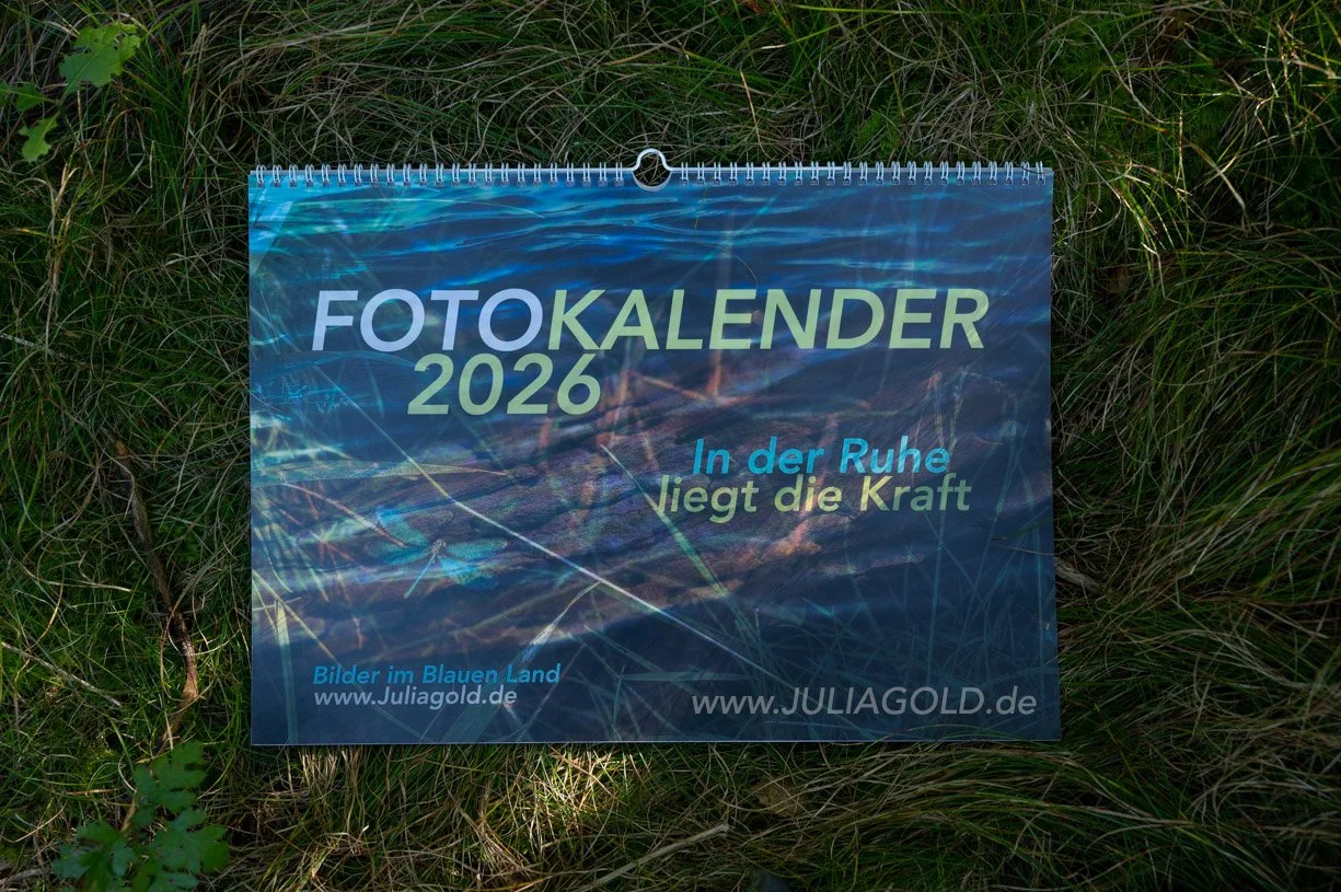 Fotokalender 2026 Blaues Land Staffelsee Julia Gold-6708.jpg