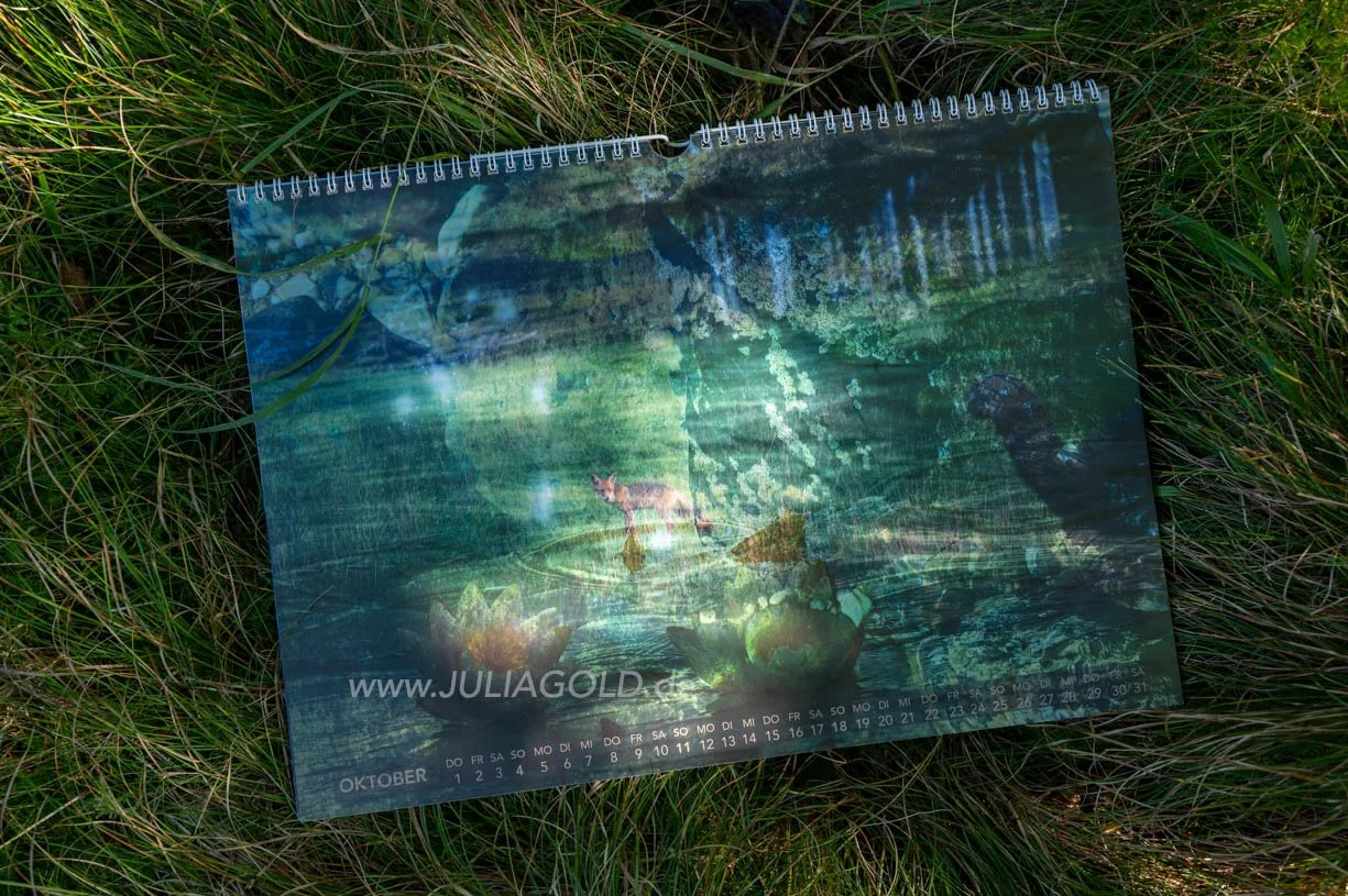 Fotokalender 2026 Magisch Magie Blaues Land Staffelsee Julia Gold-6684.jpg