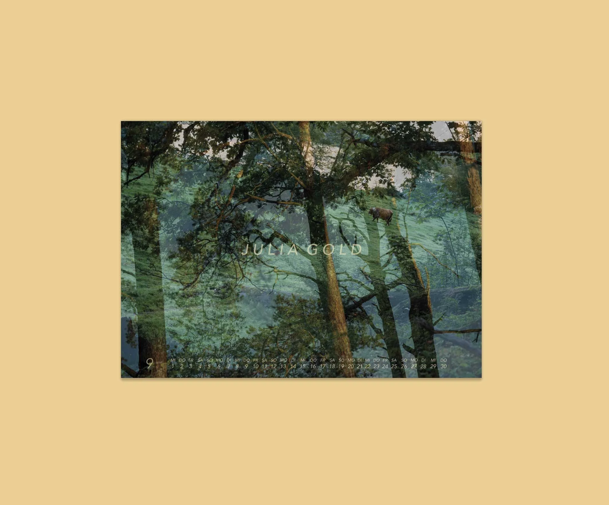Meditation Julia Gold Stille Kunst Atmen-2027-Kuh Stier Ernte NAtur.jpg