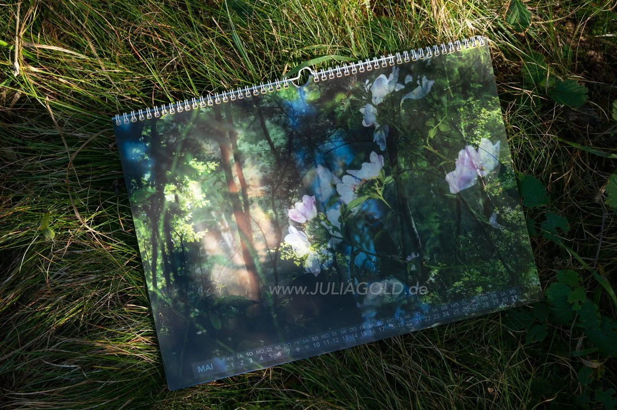 Fotokalender 2026 maria prayer rose Blaues Land Staffelsee Julia Gold-6675.jpg