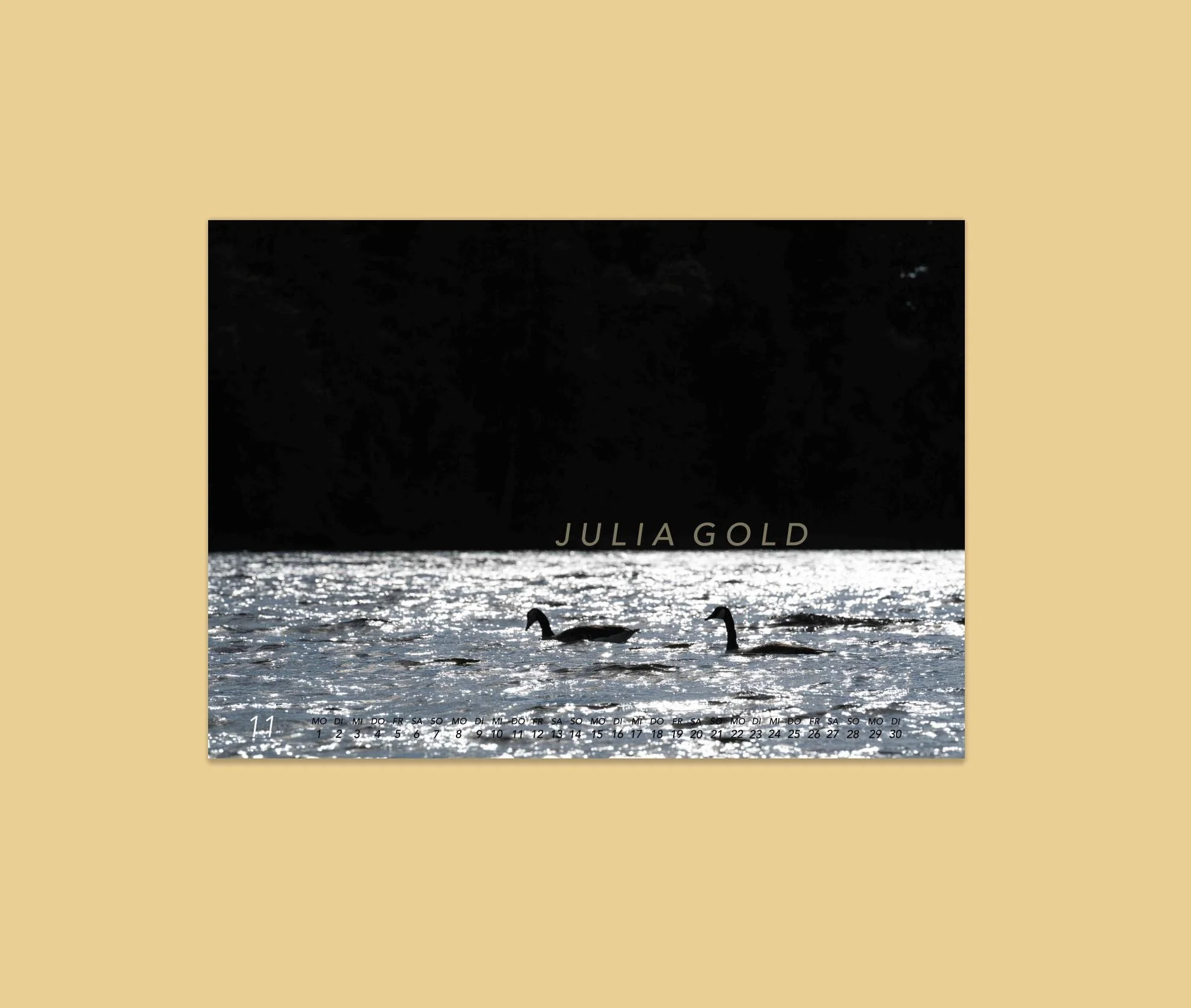 Meditation Erholen Kunst Fotokalender 2027 Natur Stille Gans Staffelsee.jpg