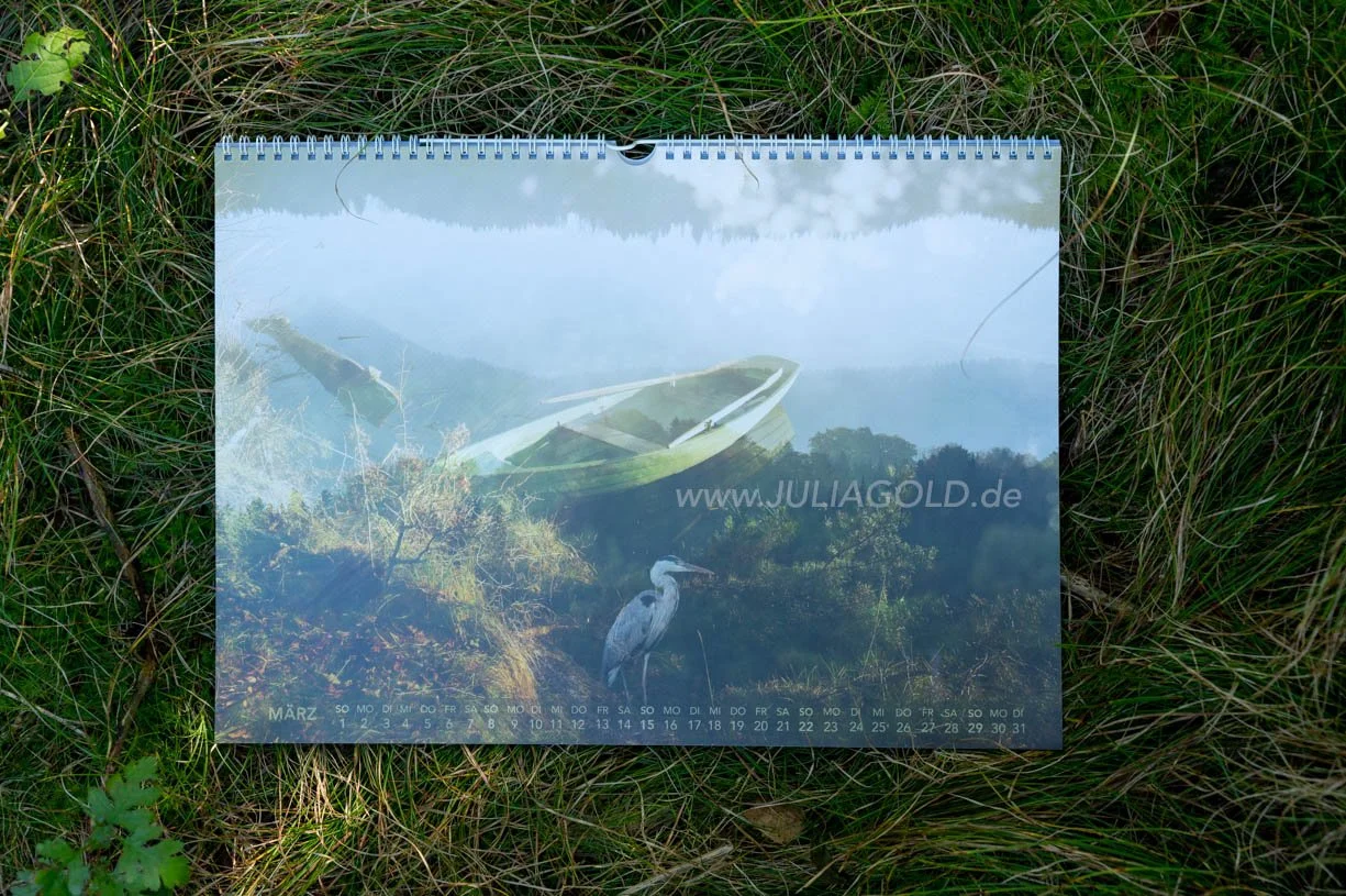 Fotokalender 2026 graureiher Blaues Land Staffelsee Julia Gold-6693.jpg
