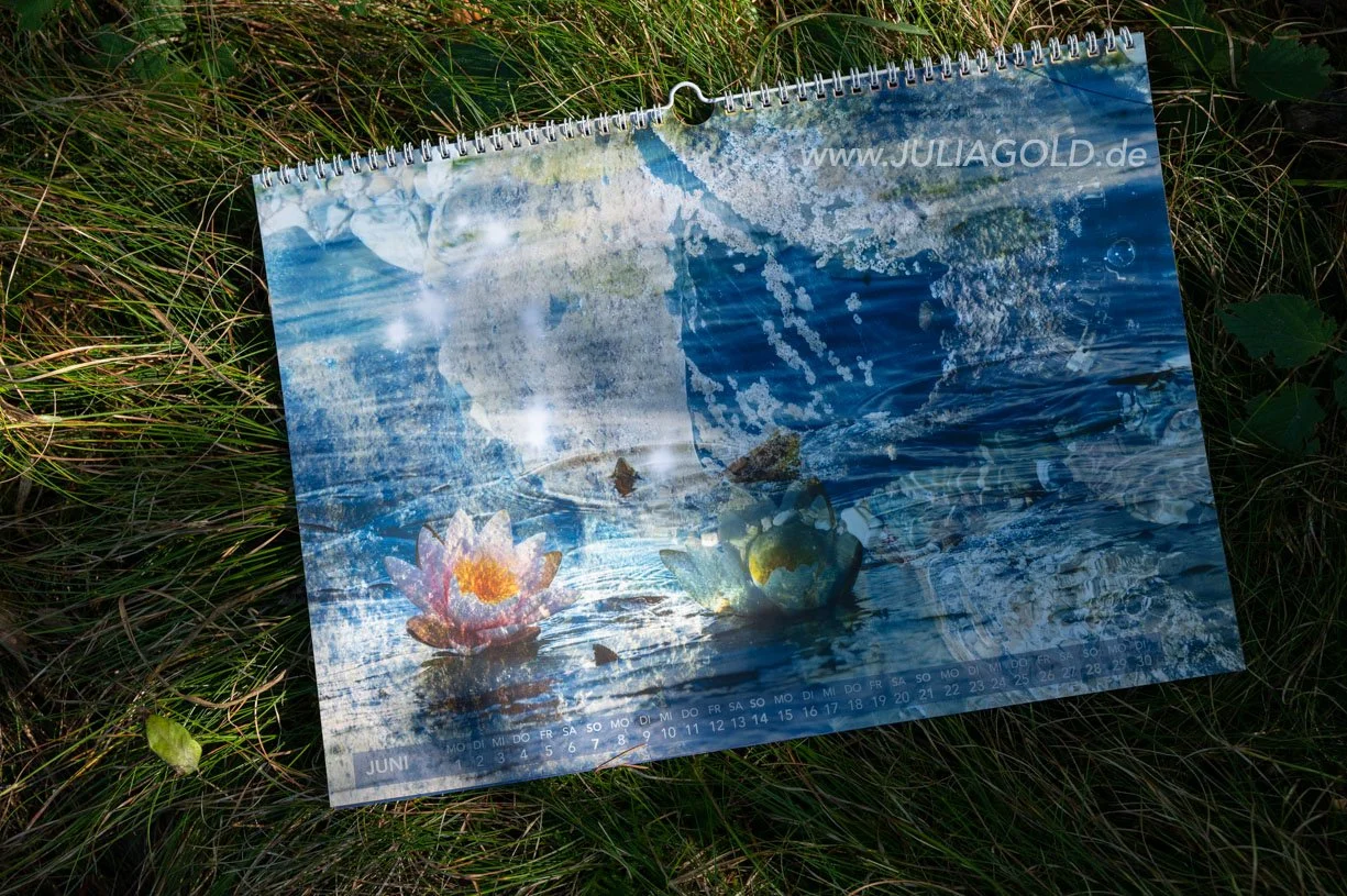 Fotokalender 2026 seerose Blaues Land Staffelsee Julia Gold-6676.jpg