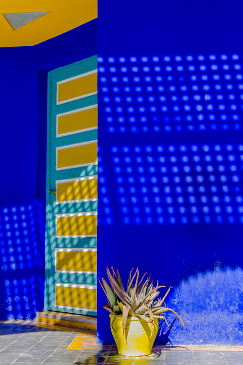 Colours of YSL Garden (Copy)