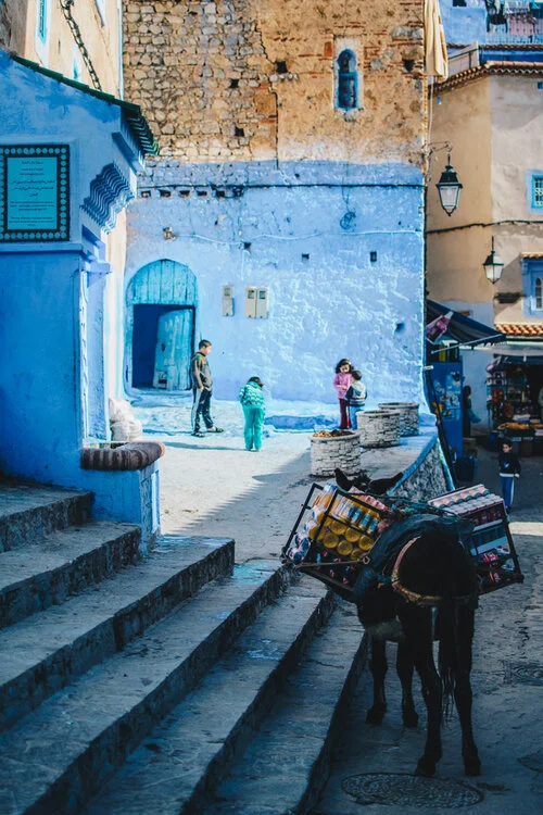 Chefchaouen Transportation (Copy)