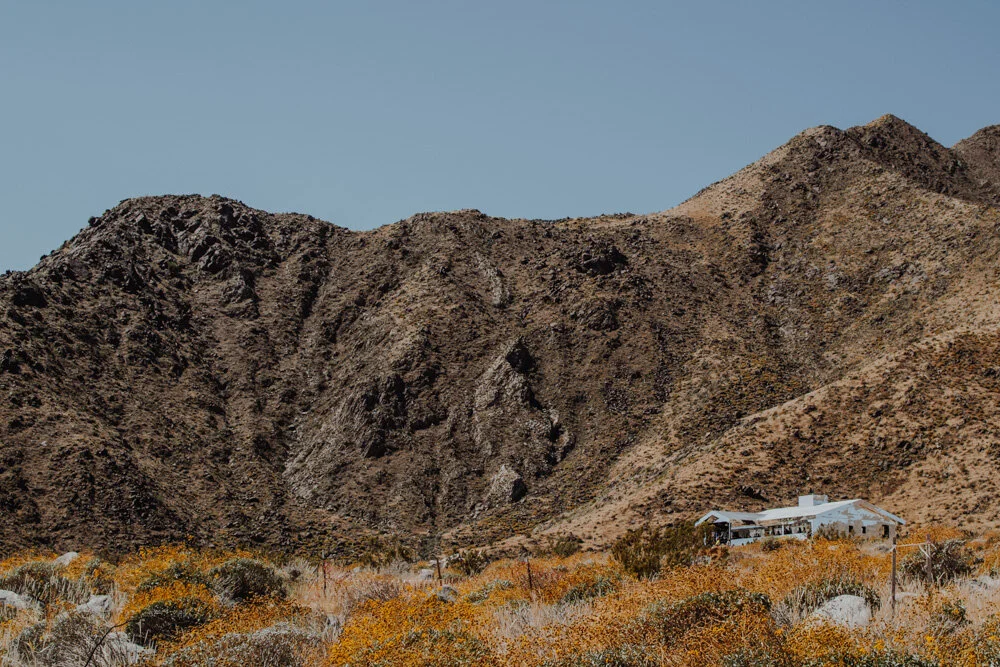 Desert X in California (Copy)