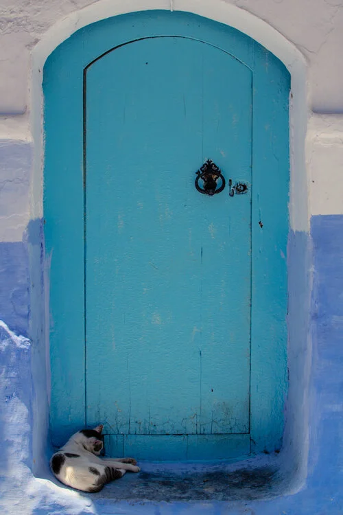 Sleepy in Chefchaouen (Copy)