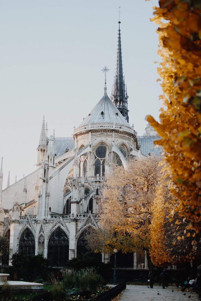 Notre Dame in Autumn (Copy)